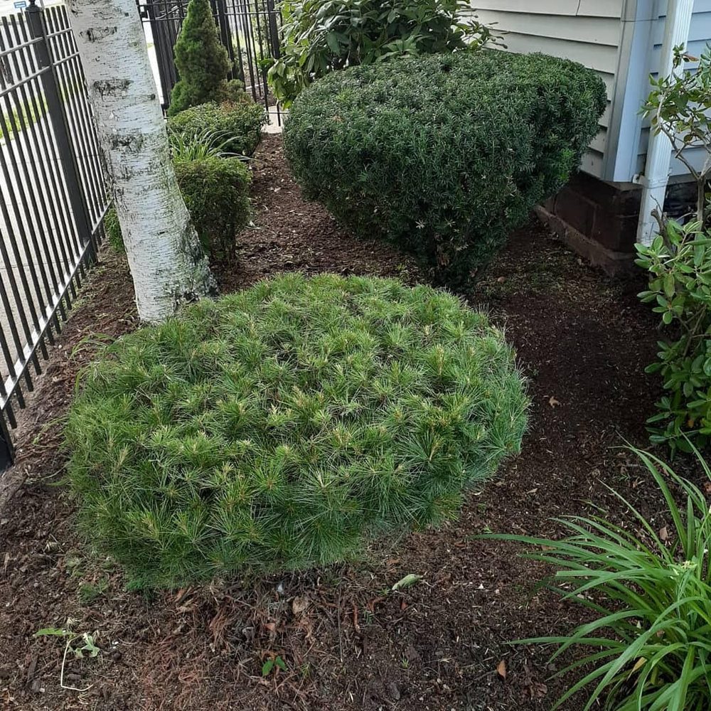 Quality Lawn Care Services in Manchester, CT