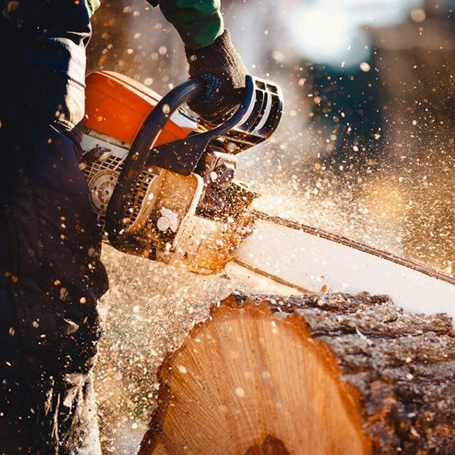 Tree Cutting Services